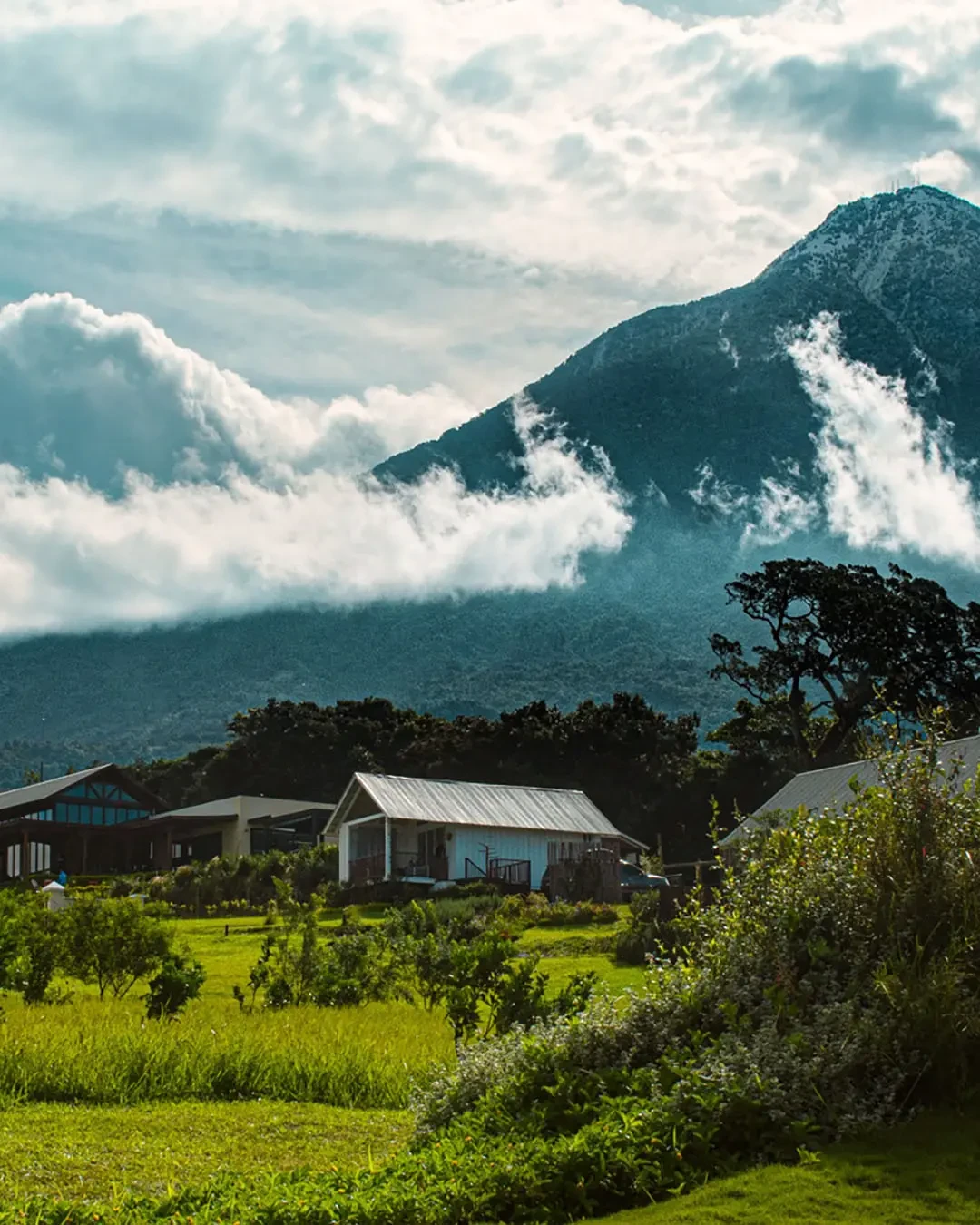 Coffee farm in Huila, Colombia